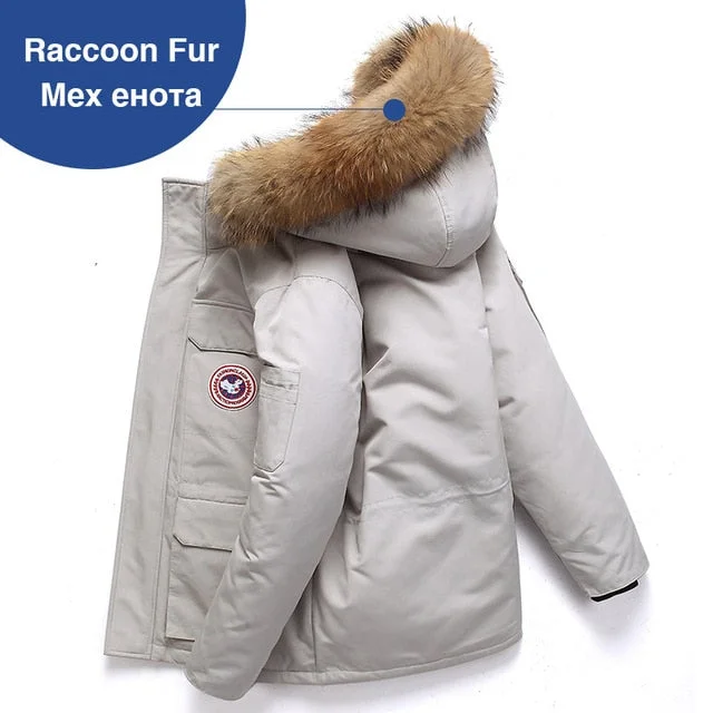 raccoon fur 1