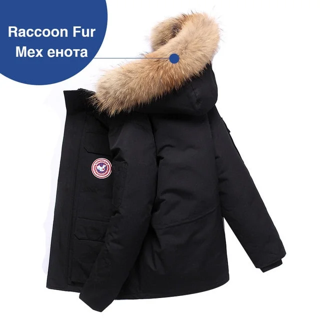 raccoon fur 2